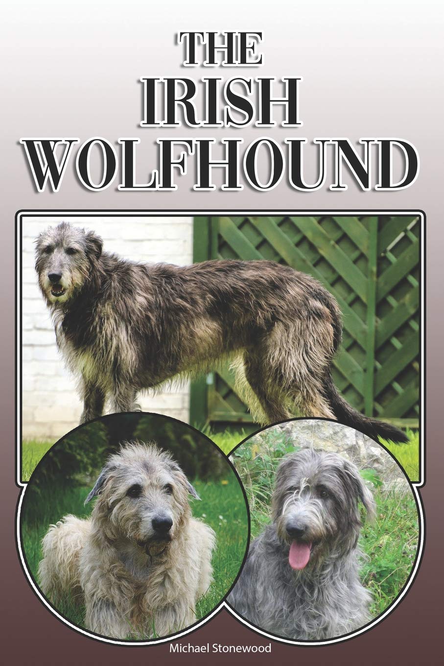 owning an irish wolfhound