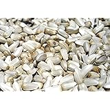 PETEST WORLD Safflower Seeds (Kusum Dana) Dry & Clean Seed, Kardi Beej, Hand Picked Seed, Benefits Of Feather & Long Tail, Egg Hatching, Growth Of Babies Used For Birds (900Gm),All Life Stages
