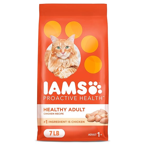 IAMS PROACTIVE HEALTH ADULT HEALTHY DRY CAT FOOD WITH CHICKEN, 7 LB. BAG