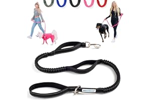 Shed Defender Shock Absorbing Bungee Leash - Three Padded Traffic Handles, Designed in The USA, Stretches 4-7ft, Elastic Dog Leash, Reflective Stitching, Large Dog & Small Breed, Heavy Duty, Black