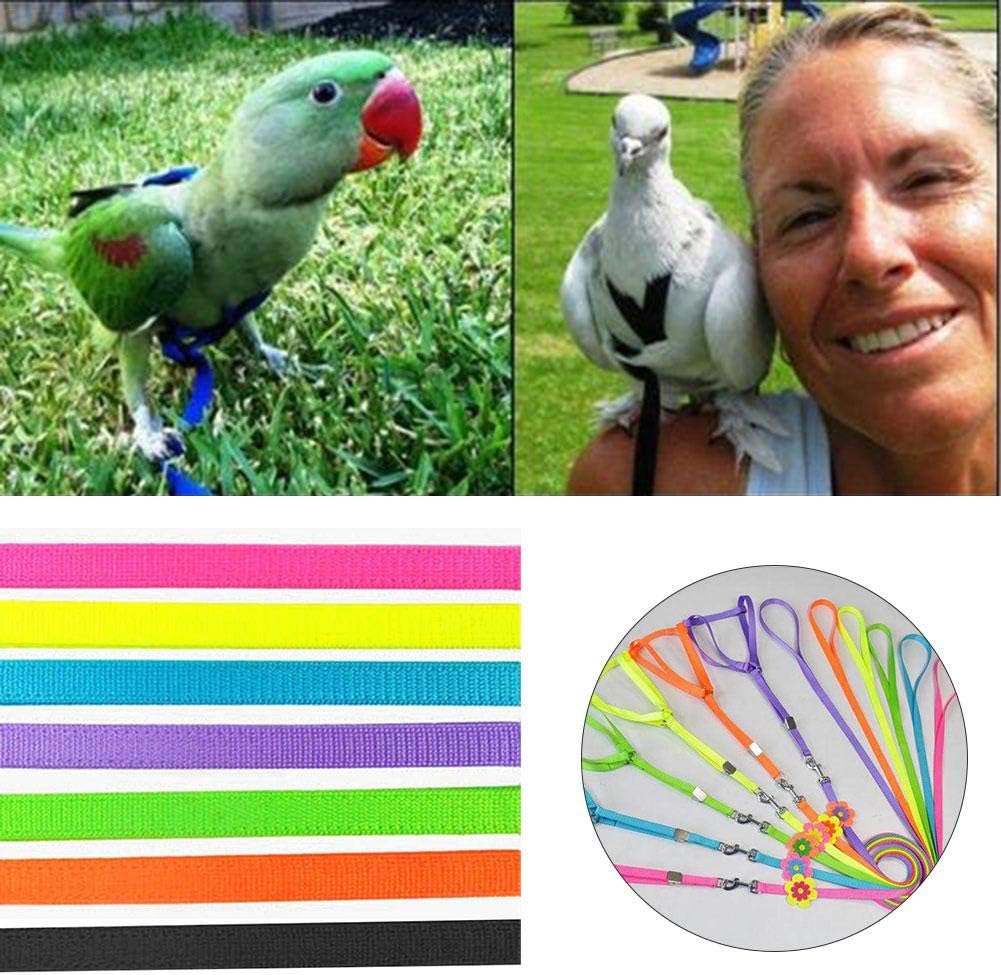 longshow Beauty Parrot Adjustable Bird Harness and Leash Outdoor Flying Anti-bite for Bird Parrot African Grey Cockatoo Macaw Ringneck Parakeet Cockatiel Small Size Birds