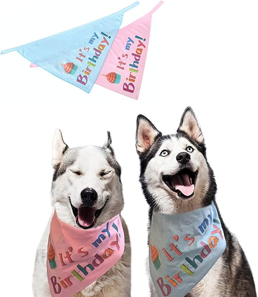 accesorios perros amazon