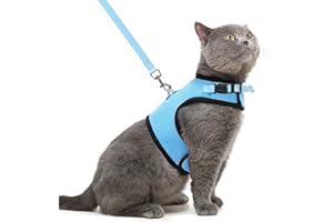 PUPTECK Soft Mesh Cat Vest Harness and Leash Set Puppy Padded Pet Harnesses Escape Proof for Cats Small Dogs, Blue Large