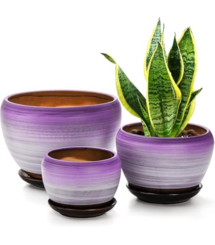 値下げ我谷風盆 約31.5cm×約21cm×約3.5cm 値下げ我谷風盆 約31.5cm×約