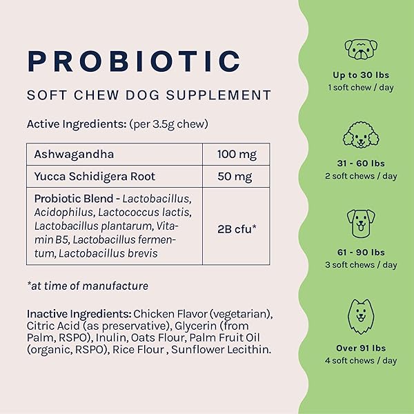 GOOD TROUBLE PETS PROBIOTIC SUPPLEMENT FOR DOGS – CHICKEN FLAVOR, 30 CHEWS – ENHANCED DIGESTIVE SUPPORT