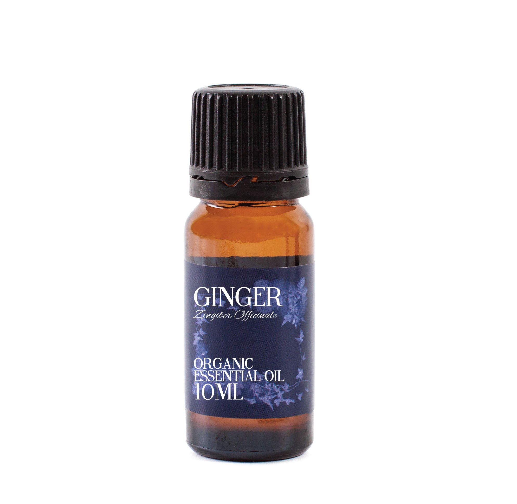 Mystic Moments | Organic Ginger Essential Oil 10ml | Zingiber officinale | Warm Spicy Aroma | Energising Oil for Diffusers & Blends