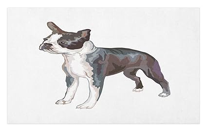 Amazon Com Ambesonne Boston Terrier Doormat Portrait Of