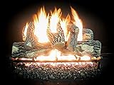 Dreffco 30" Complete Majestic Vented Gas Log Kit