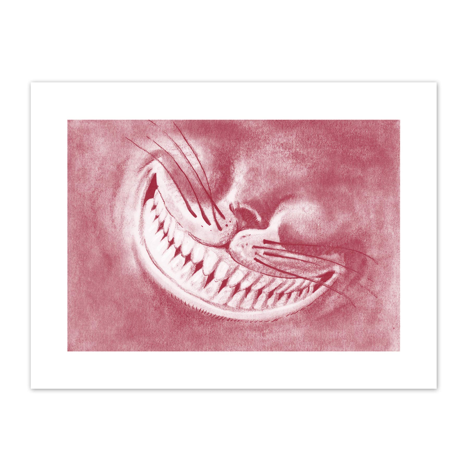 Alice Wonderland Cheshire Cat Smile Canvas Wall Art Print