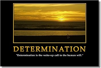 Get Zitate teamwork For Android Zitate Teamwork