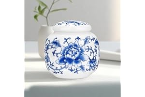 Abooxiu Small Urns for Human Ashes Keepsakes Ceramic Mini Urns Blue and White Porcelain Cremation Keepsake Urn for Ashes for Women Men Pets Urn Memorial Ash Keepsake for Loved Ones