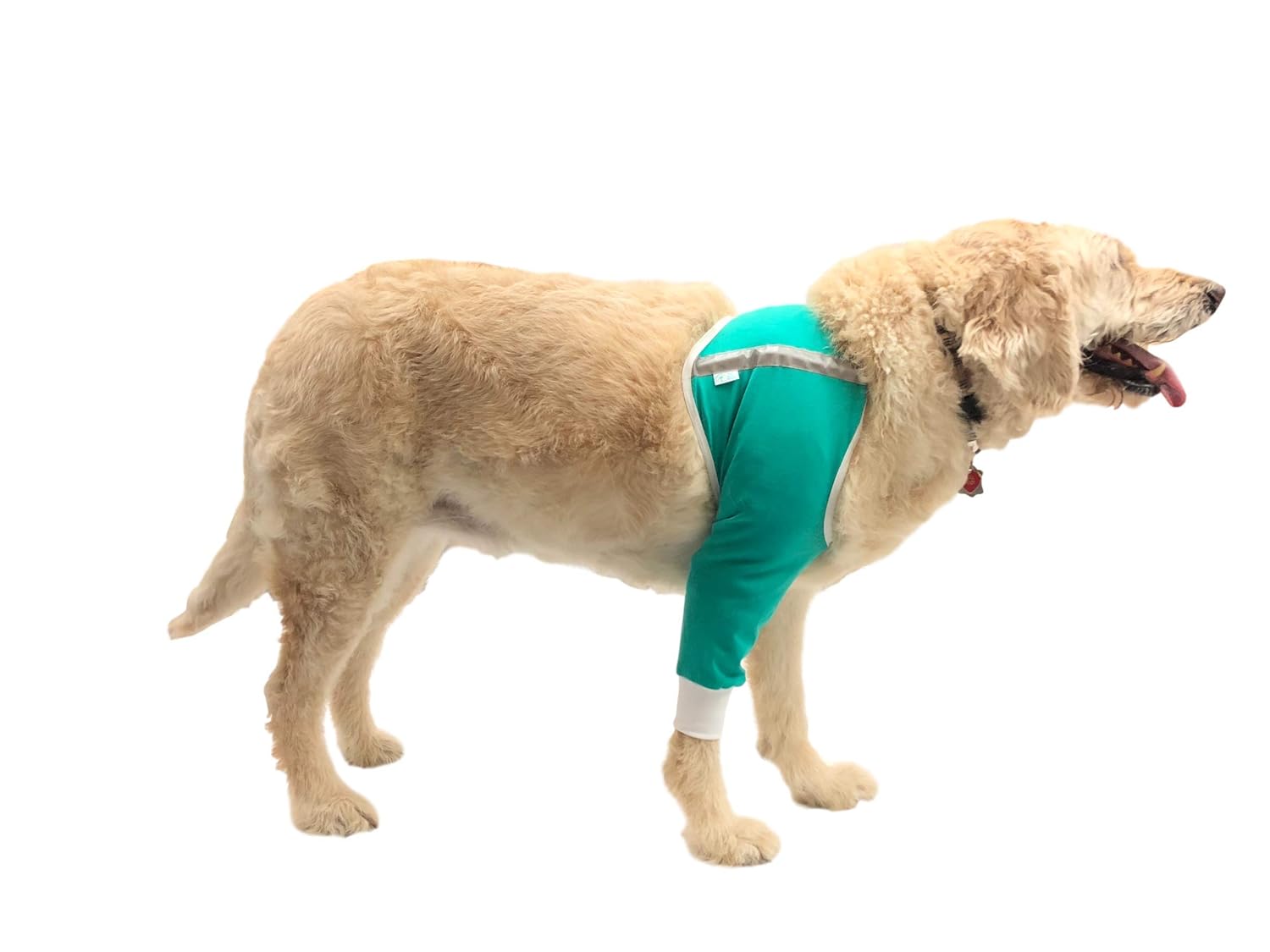 Best Pet Wound And Skin Care