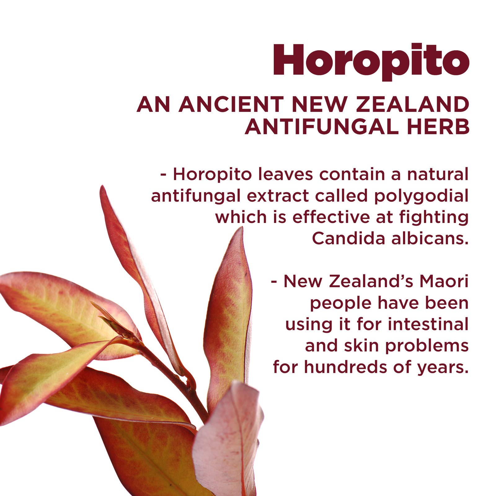 kolorex intimate care cream