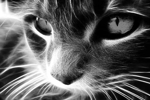 目 壁紙 壁紙 石 目 調 安っぽい