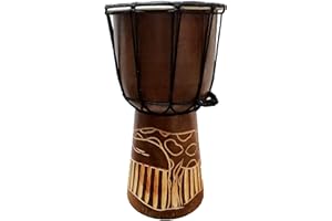 STONEAGE ARTS Djembe Drum Carved Bongo African inspired music also a unique gifting idea. Carver Abstract Elephant Giraffe Turtle. (12 Inch, Giraffe)