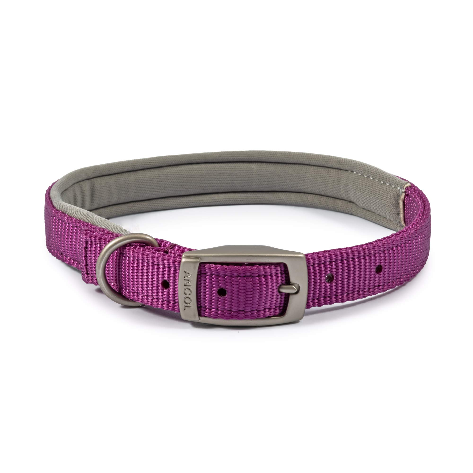 Ancol Padded Viva Dog Collar with Buckle - Purple Durable Walking Accessory for Dogs Puppies - Size 5 Fits 39-48 cm Neck