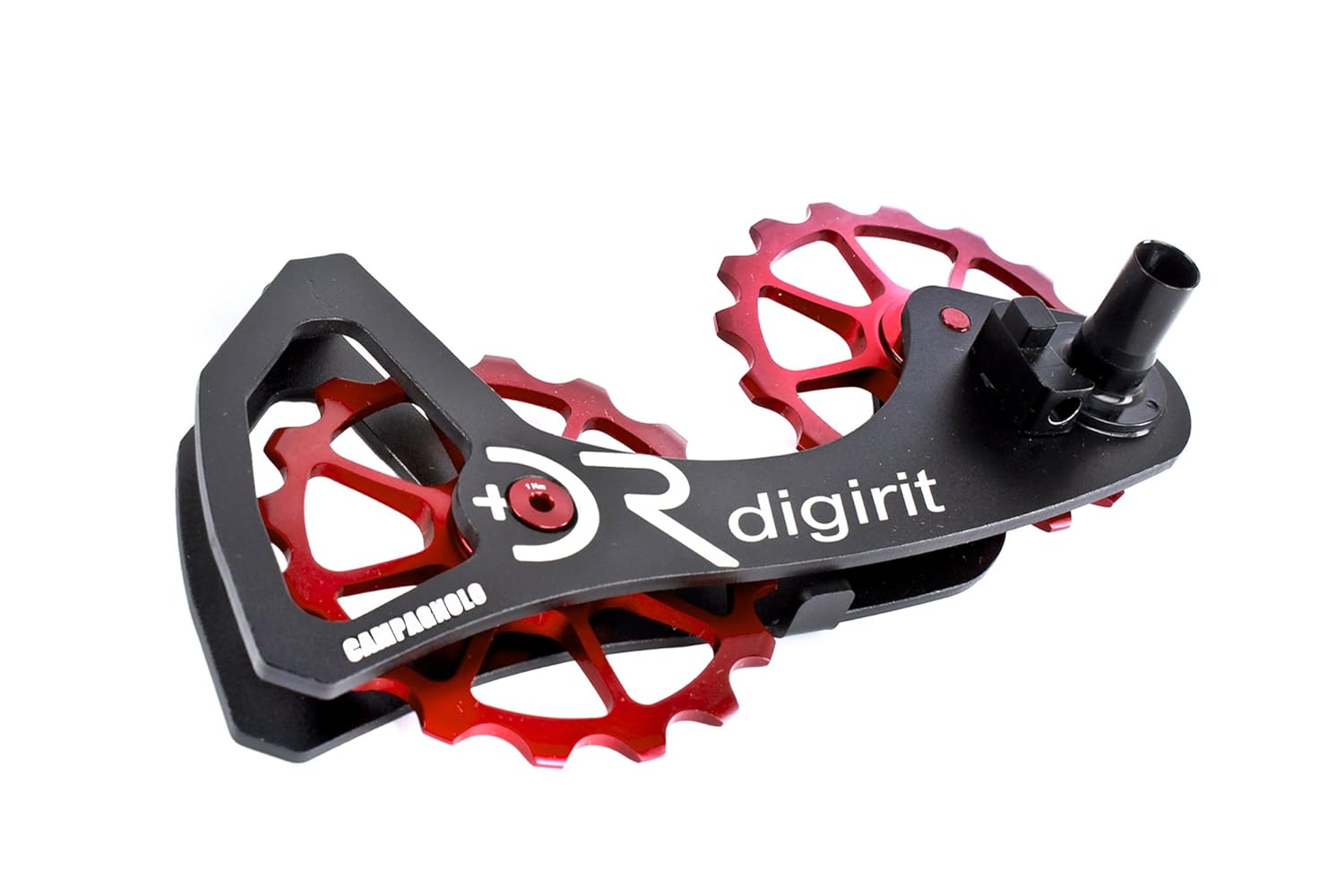 digirit campagnolo