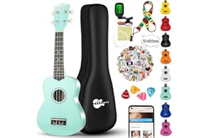 EVERJOYS Soprano Ukulele Beginner Kit for Adult Student w/Free Online Lesson 21 Inch Ukelele Gig Bag Strap String Tuner Pick Polishing Cloth, Rainbow Series Ukalalee