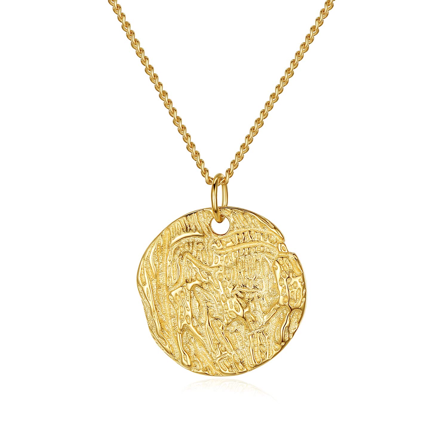 VIKI LYNN 18K Gold Plated Hammered Coin Circle Full Moon Pendant Necklace Sterling Silver Disc Necklace for Women