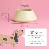 Mason Cash Cane Non Tip Dog Bowl 21 cm Ceramic Food & Water Bowl view 2