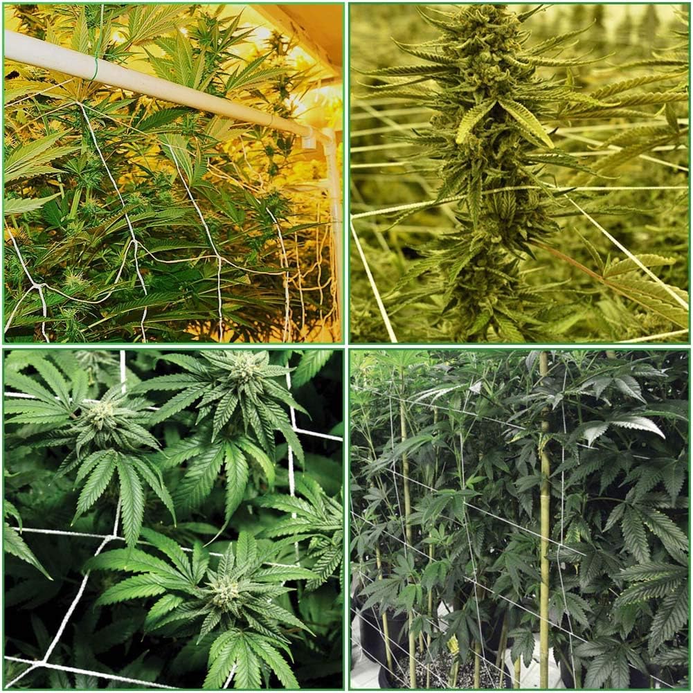 Rziioo Red de Enrejado, Red de Cultivo Suave, Planta de poliéster ...