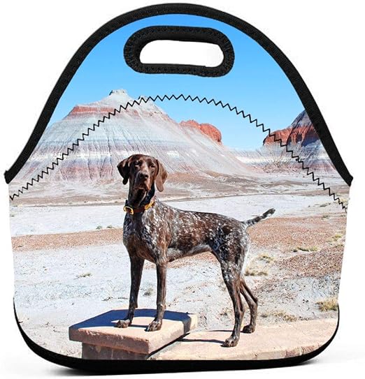 Amazon Com Lkjdad German Shorthaired Pointer Dog Lunch Bag