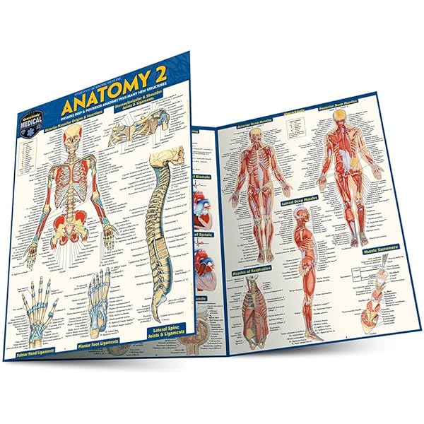 AAAMYYY BODY 解剖書　ANATOMY AAAMYYY、1stアルバム『BODY』紐解く作品集『ANATOMY/解剖書』を部数