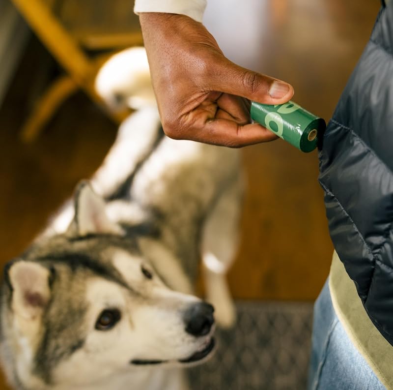 Hundekotbeutel, garantiert auslaufsichere und extra dicke Abfallsäcke als Nachfüllrollen für Hunde, unparfümiert, 120 Stück