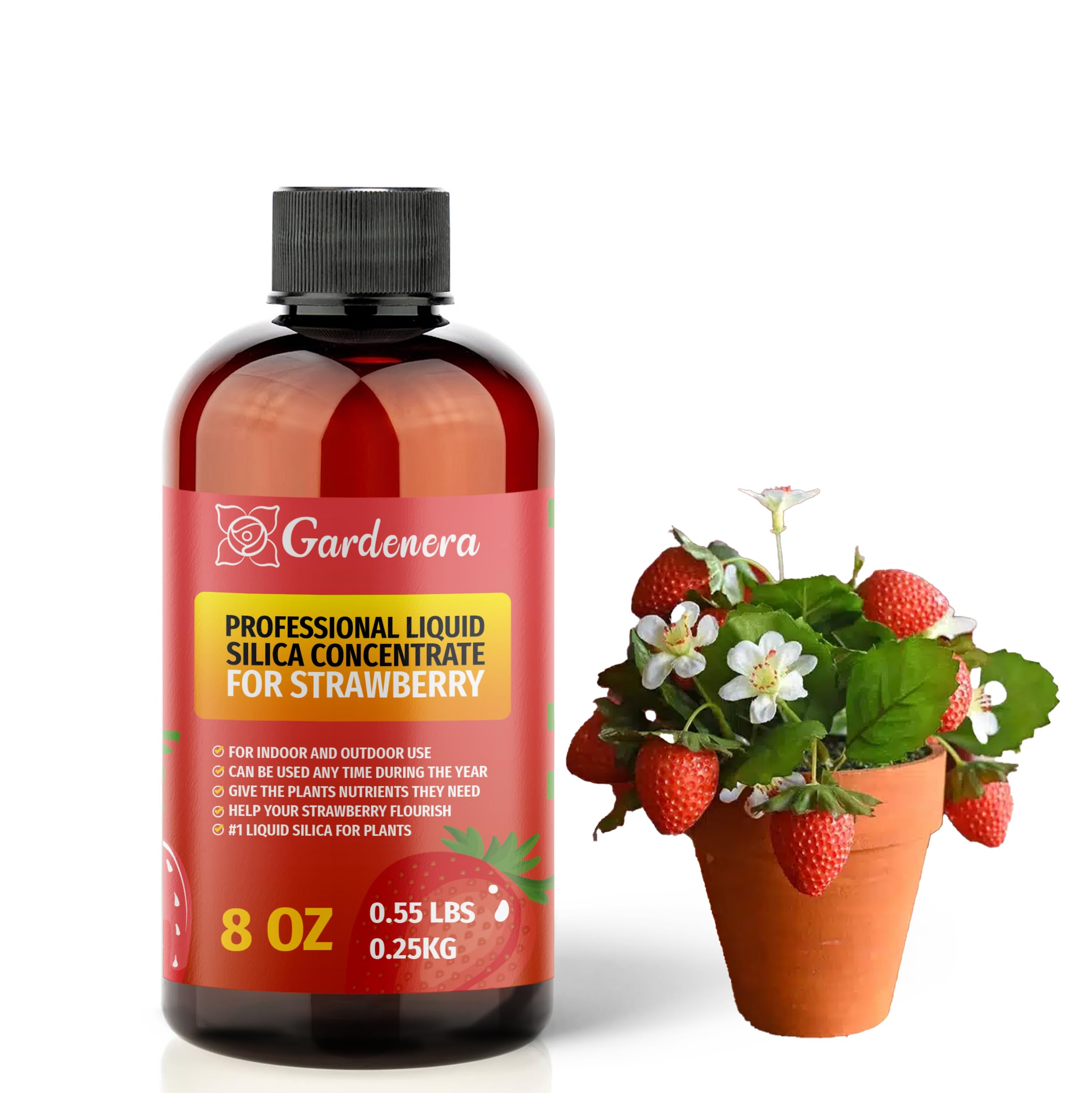 Photo 1 of ??????? Liquid Silica Plant Supplement - 8oz (250mL) - Strawberry Plants Liquid Silica Boost Fertilizer - Stronger Stems & Healthy Leaves for Indoor & Outdoor Strawberries (Makes 45 Gallons)