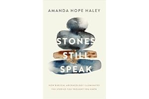 Stones Still Speak: How Biblical Archaeology Illuminates the Stories You Thought You Knew