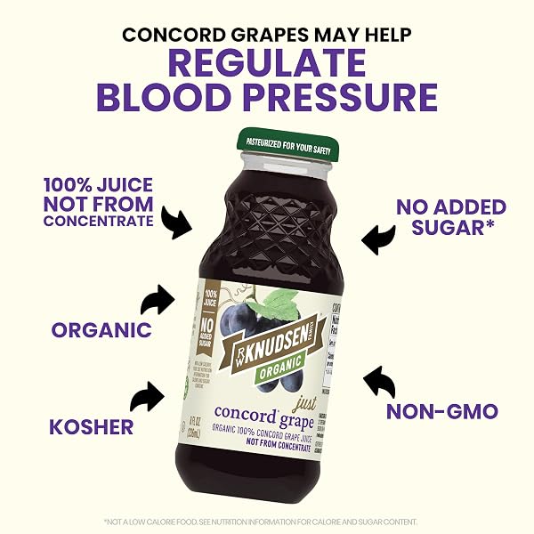 R.W. KNUDSEN ORGANIC JUST CONCORD GRAPE JUICE, 8 FL OZ (12 PACK)