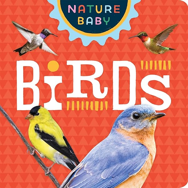 National Geographic Kids Little Kids First Board Book: Birds