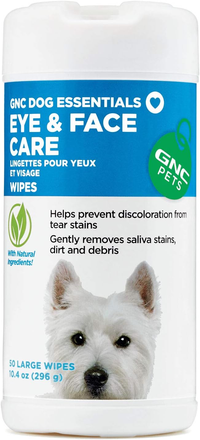 3 week old french bulldog