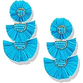 Statement Earrings Beaded Raffia Palm Bohemian Drop Dangle Earrings for women