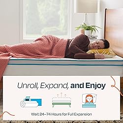 Linenspa 10 Inch Memory Foam and Spring Hybrid