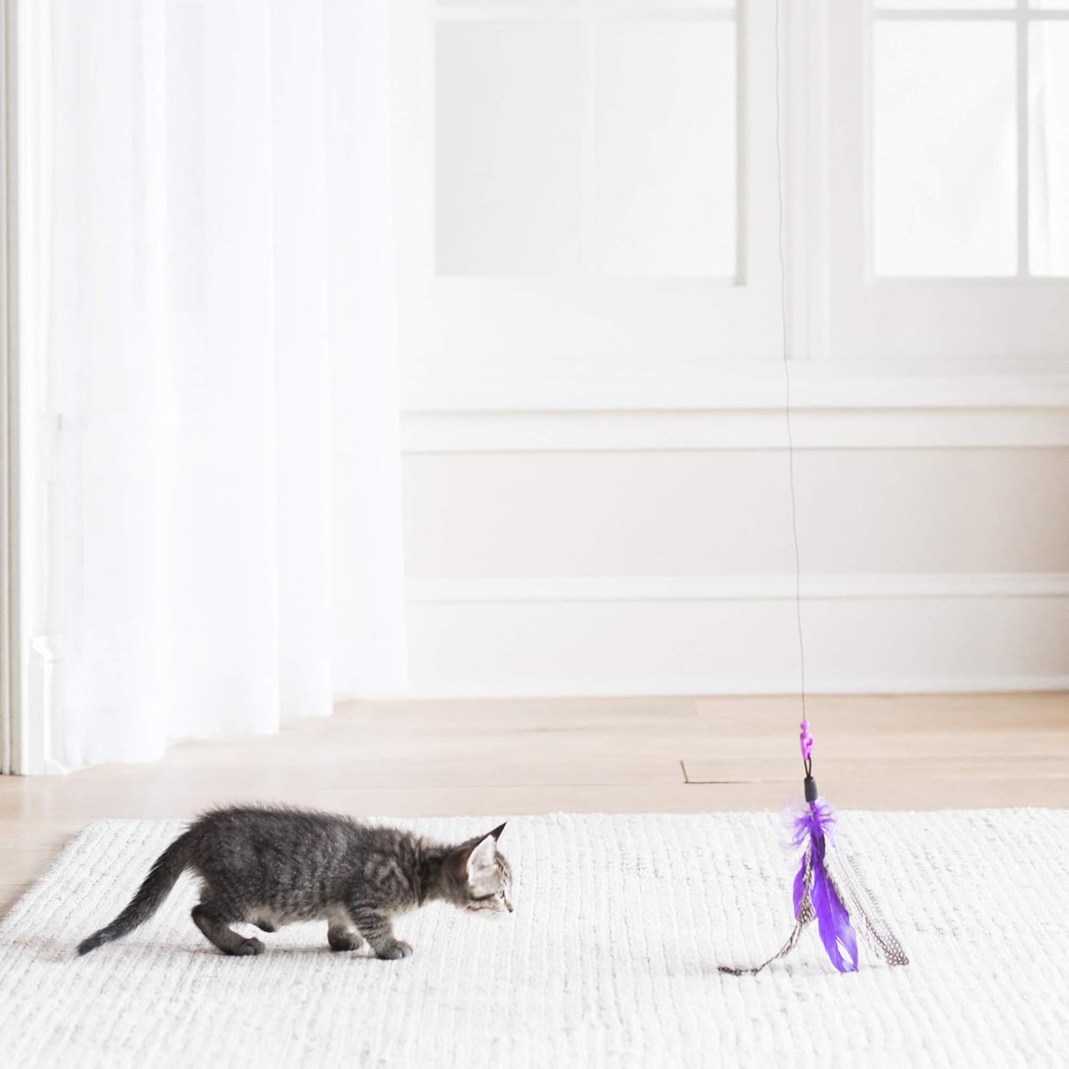 Jackson Galaxy Air Prey Cat Wand Cat Toy : Pet Supplies