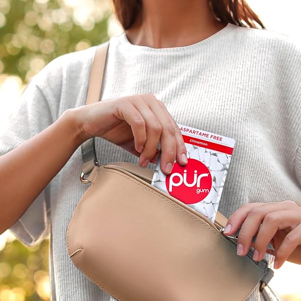 PUR GUM | ASPARTAME FREE CHEWING GUM | 100% XYLITOL | NATURAL CINNAMON FLAVORED GUM, 55 PIECES (PACK OF 3)