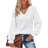 Misyula Womens Lace V Neck Puff Long Sleeve Eyelet Tops Dressy Business Casual Work Shirts Blouse S-XXL
