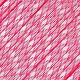 West Coast Paracord 10 25 50 & 100 Foot Hanks & 250