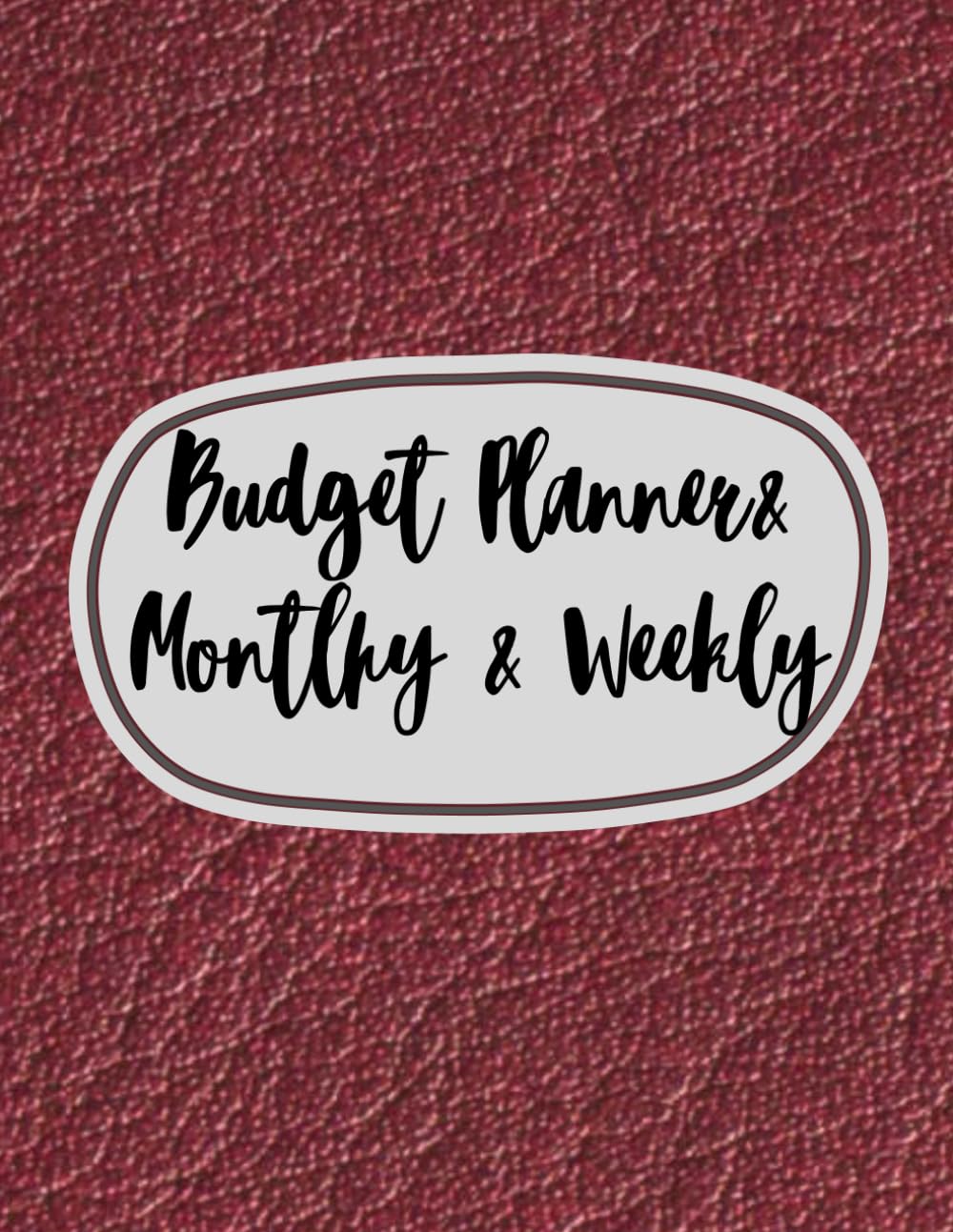 Monthly and Weekly Budget Planner - 12 Months, 72 Pages - skin-: Budgeting Book with Income & Expense Tracker - 8,5" x 11"