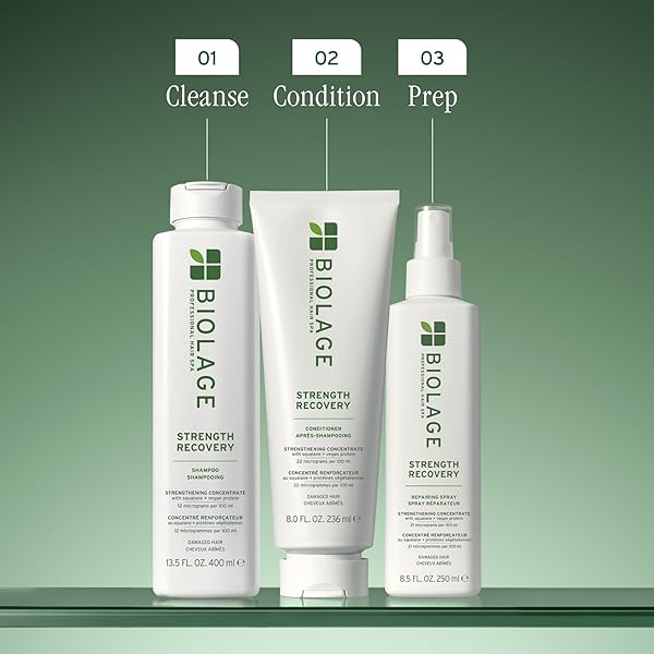 BIOLAGE STRENGTH RECOVERY CONDITIONER – MOISTURIZES & STRENGTHENS DAMAGED HAIR, SOFTNESS & SHINE, OLIVE SQUALANE & VEGAN PROTEINS, PARABEN-FREE, VEGAN, 7.9 FL OZ, PACKAGING MAY VARY