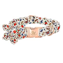 Elegant little tail Dog Collar, Girl or Boy Dog