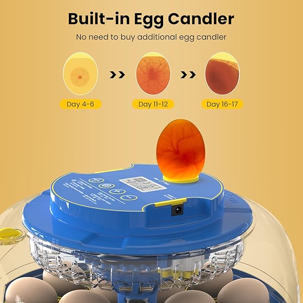 KANAD INCUBATORS FOR HATCHING EGGS, 18 EGG INCUBATOR WITH AUTOMATIC TURNING AND HUMIDITY CONTROL, DUAL TRAYS & AUTO WATER REFILL, 360° VIEW INCUBATOR FOR CHICKEN, DUCK, QUAIL EGGS