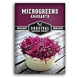 1 Pack Amaranth Microgreens Seeds for Planting and