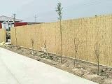 Abaseen Extra Thick Reed Screening Fence Panels 8-10mm 1x3m to 1.5x5m view 7