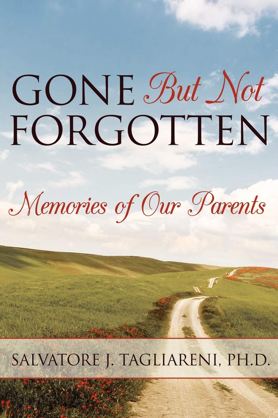 Gone But Not Forgotten Memories Of Our Parents liareni Salvatore Amazon Com Books