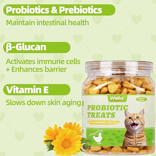 WELLIX 13.5OZ PROBIOTIC HEALTH SUPPLEMENT CAT TREATS FOR INDOOR CATS – CHICKEN FLAVOR KITTEN SNACKS FOR GUT+IMMUNE HEALTH – ADD FOS & INULIN CAT TRAINING BISCUITS