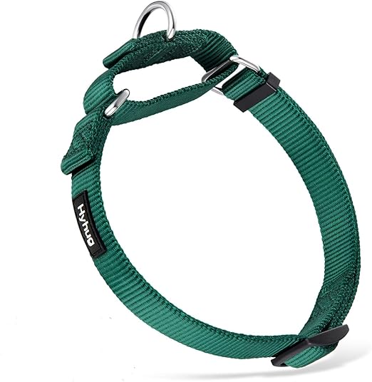 martingale training collar