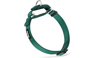 Hyhug Martingale Dog Collar Medium Green |Escape - Proof Heavy Duty Nylon Durable No Slip, Ideal for Training & Daily Walks