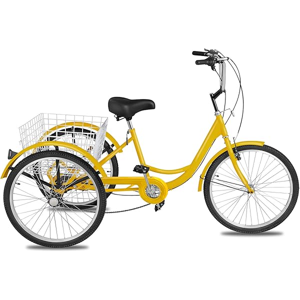 three wheel bike for heavy person